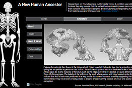 [SB125441798197656835]