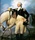 George Washington's picture