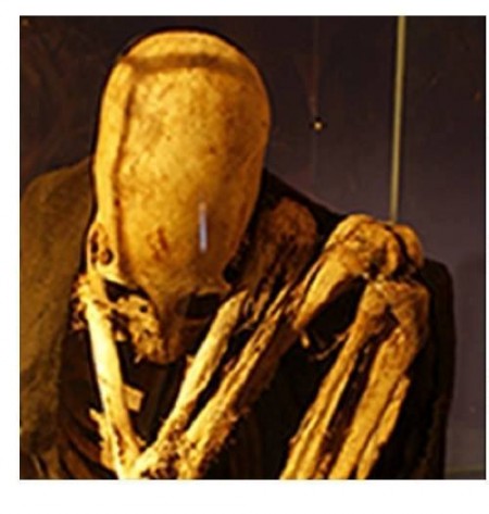 Nephilim Skull - Lake Titicaca - Posted by Brien Foerster on Facebook