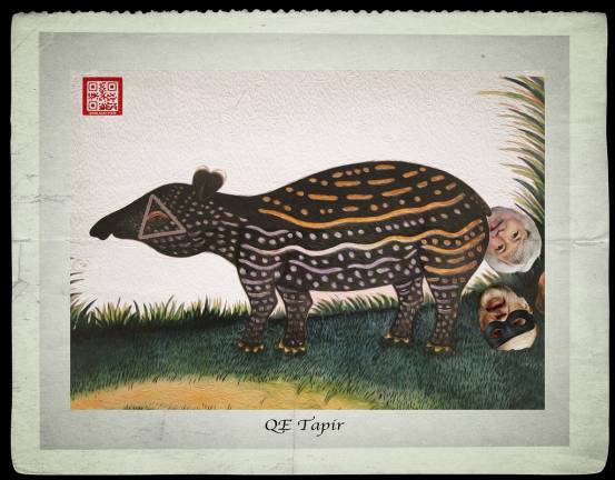 QE TAPIR IN UNNATURAL ENVIRONS
