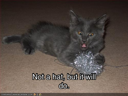 TiN CaT