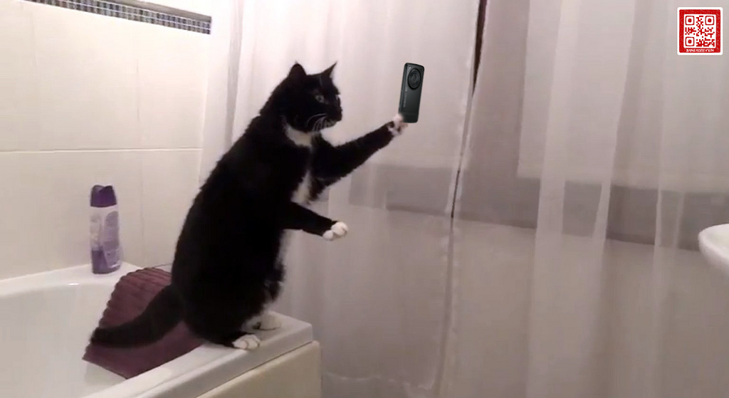 I CAN HAZ SELFIE