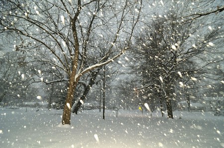Falling Snow - Photo by Serge Melki